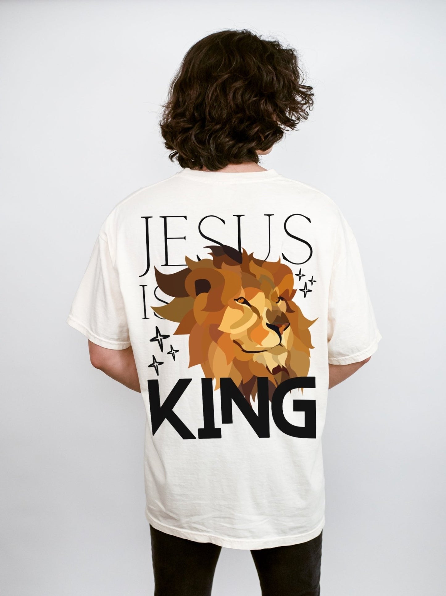 Jesus Is King Lion Unisex Tee - Seek and Share Designs